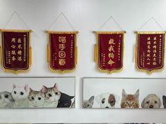 -爱侣宠医·鹦鹉专科·小型哺乳类·异宠专科(灵石路店)