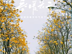 -洲头咀公园