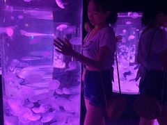 -悉尼海洋生物水族馆
