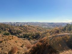 -红山国家森林公园