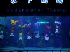-泉城欧乐堡海洋极地世界