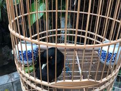 -丽江庭院·云南野生菌·海鲜火锅(鼓楼四合院店)