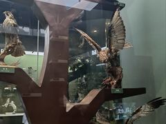 -国家自然博物馆