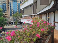 -新加坡良木园酒店