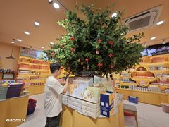 -金顺昌桂林桂花伴手礼(正阳一店)