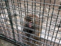 -南京金牛湖风景区