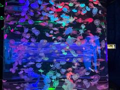 -合肥海洋世界