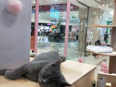 -吾悦广场(天津和平店)