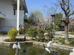 -广富林宰相府酒店·水云间
