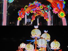 -万绿园