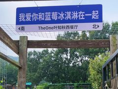 -金石滩蓝莓谷庄园