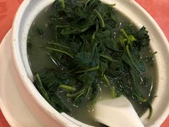 上汤枸杞叶-深运潮州粥(东门店)