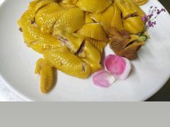 -食德喜·阳山鸡王食研基地