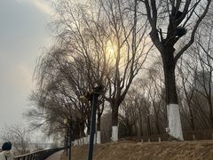 -长白岛森林公园
