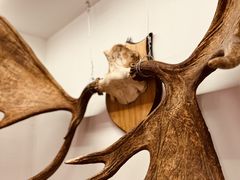 -秃鹫湾·推理大师沉浸式实景演绎推理剧场