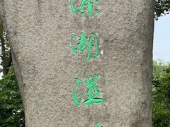 -溱湖国家湿地公园