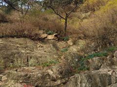 -泰山风景名胜区