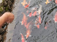-前童古镇