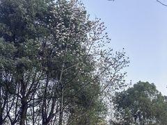 -重庆彩云湖湿地公园
