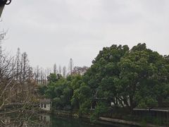 -杭州西湖柳莺里酒店