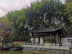 -深圳国际园林花卉博览园