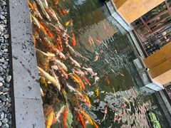 -三亚湾海居雅高铂尔曼度假酒店