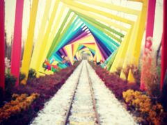 -合肥滨湖国家森林公园