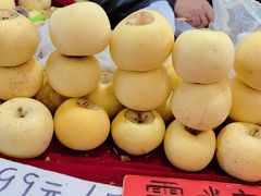 -中国农业博物馆