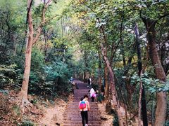 -紫金山山顶公园