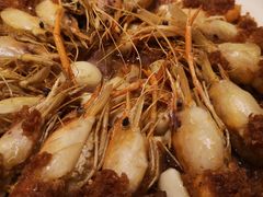 蒜焗砂锅罗氏虾-粗茶淡饭·汉口公馆(循礼门店)