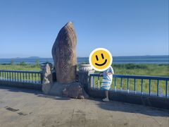 -合肥滨湖国家森林公园