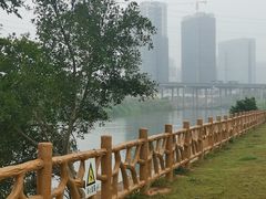 -大亚湾红树林城市湿地公园