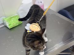 -美联众合动物医院·24h京西诊疗中心