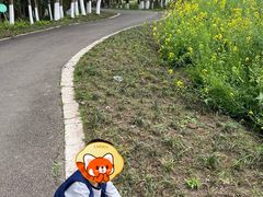 -桤木河湿地公园