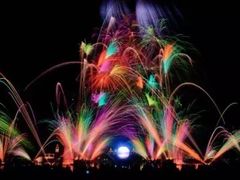 -奥兰多迪士尼动物王国乐园