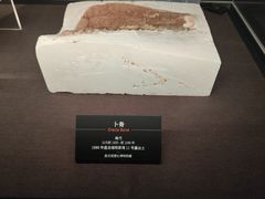 -盘龙城遗址博物院
