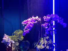 -逸馥荟(人广来福士店)