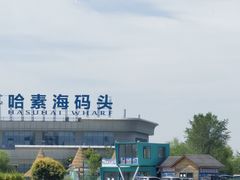 -哈素海