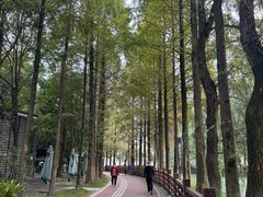 -蜀绣公园