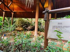 -厦门日月谷温泉渡假村