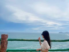 -广东惠东海龟国家级自然保护区