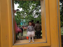 -铁山坪森林公园