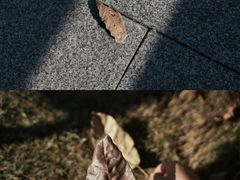 -华侨公园