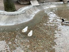 -珠海海泉湾神秘岛亲子乐园