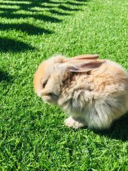 -萌宠亲子动物乐园(槐房万达店)