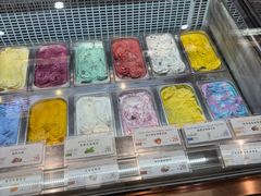 -iceason爱茜茜里·意大利健康冰淇淋(骑龙巷店)