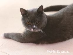 -Pink You美甲美睫纹绣定制中心