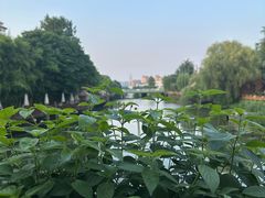 -杭州乐园