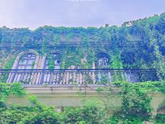 -府河摄影公园