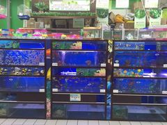 -大润发(张江店)